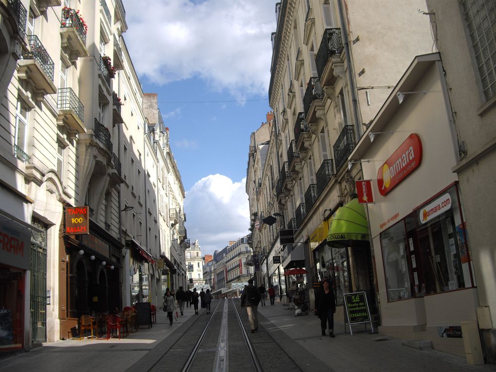 La rue de la Roë à Angers et quelques rues avoisinantes.