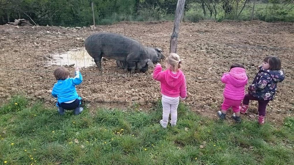 Visite à la Ferme de l'Hort