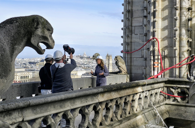 Notre-Dame de Paris : Anne-Claire Coudray au coeur du chantier ce dimanche (20H de TF1).