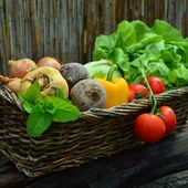 Plateau de Livraison – Marché de Maurs – Jeudi 30 Avril