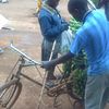 le Marché Alanine de goma