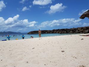 La plage de la Batelière n'est pas une plage naturel, elle a été fabriqué de toute pièce. Elle est protégée des vague par une digue, cette digue abrite quelques animaux marins (ourins, poissons,...) qu'il est sympa d'aller regarder avec masque et tuba, surtout pour les petits qui se sentent assez en sécurité sur cette plage quasi fermé. Malheureusement cette plage ne propose que très peu d'ombre et peut être très fréquenté par les martiniquais mais aussi  par les clients de l'hôtel.