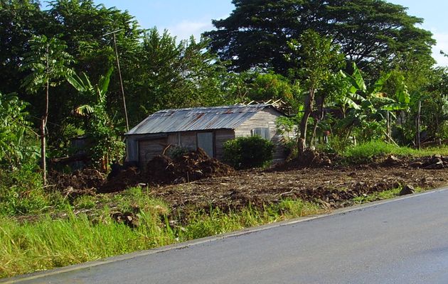 Le calme au bord de la route