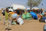 Cameroun/Réfugiés nigérians