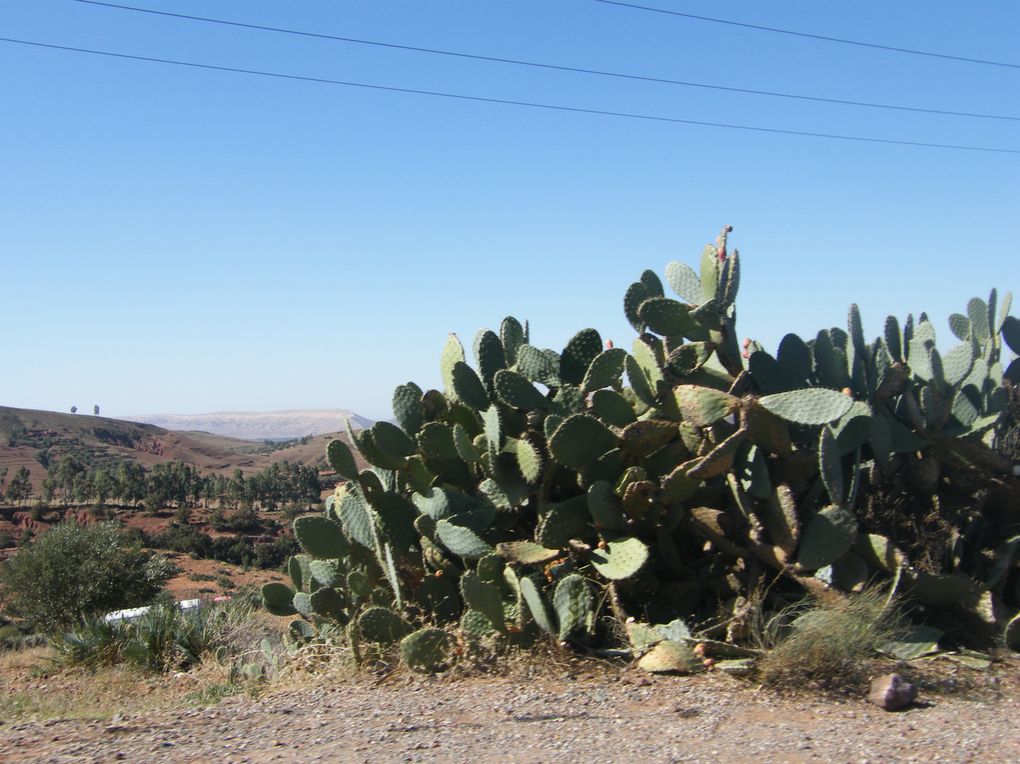 Album - ait-benhaddou