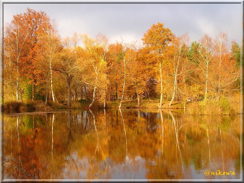 Album - Etangs en Automne