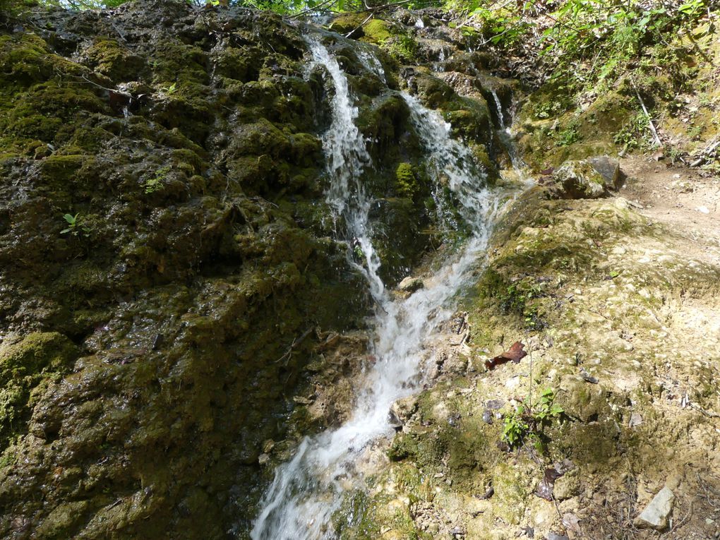 Boucle de St Pons et son Abbaye