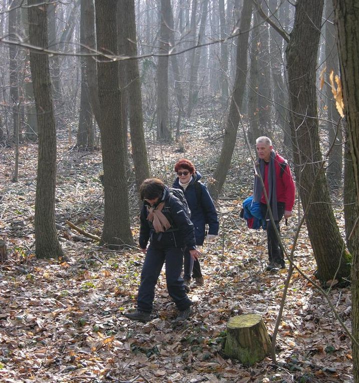 Et une bonne grimpette pour atteindre le parc de Cormeilles en Parisis , lieu du piquenique.