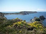 GR 34 - Presqu'île de Crozon - Cap de la Chèvre - Pointe de Pen Hir