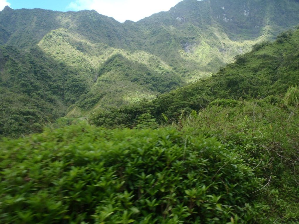 Ballade au creux de la vallée de Tahiti, jusqu'au sommet (ou presque...) dans le cœur de l'île !