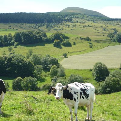 Les Creusottes envahissent le Cantal 