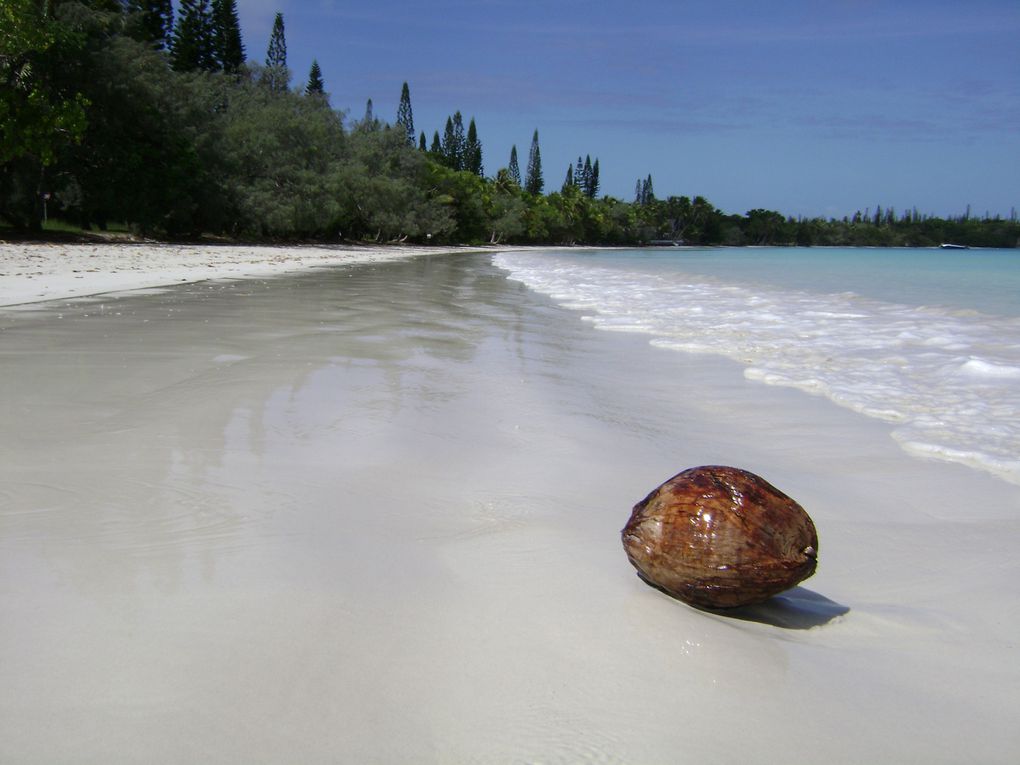 Album - NC.ILE DES PINS