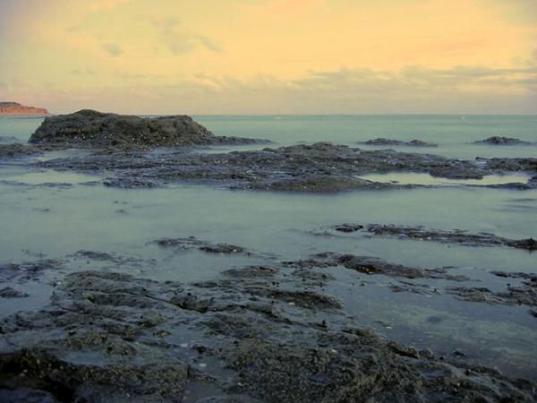 Photos des vacances &agrave; Jard sur Mer - Ao&ucirc;t 20006