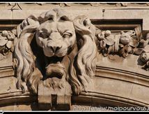 Les Galeries Lafayette Clermont Ferrand : une force de lion