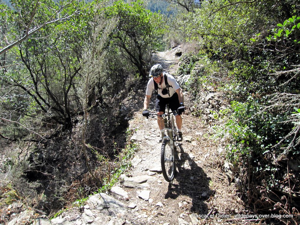 Album - Sorties Cévennes Vélo Nature en 2012