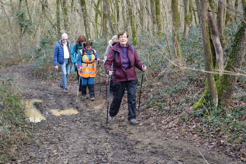 Rando de l'Ardenay du 13 02 2024