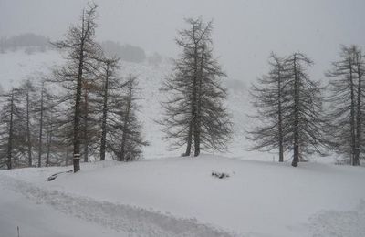 La neige, l'eau et le feu