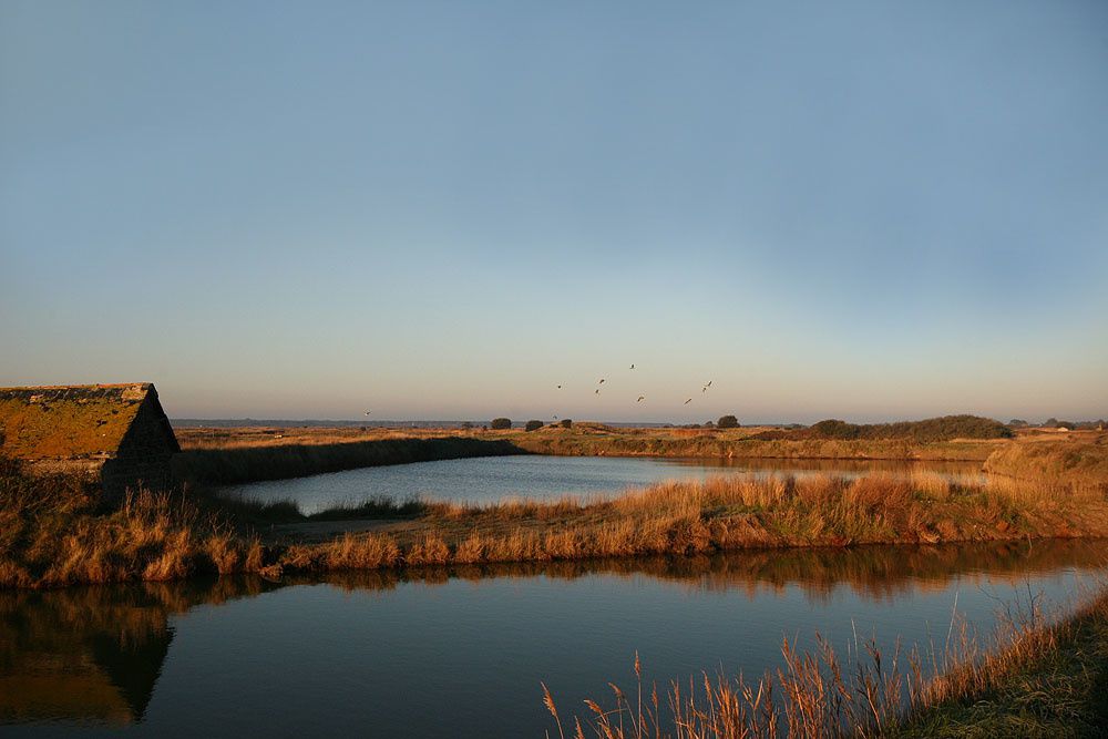 Images des marais salants de Gu&eacute;rande&nbsp;au lever du soleil