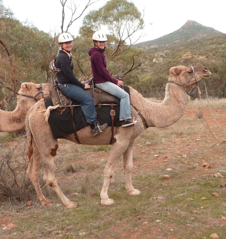 Album - 38 Outbacktrip von Prot Augsta nach Alice Springs - Teil 1