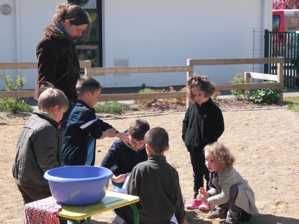 "La Traversée du Grand Canyon"

Sortie : "Equitation au Domaine d'Epona"
Sortie : "Les Chercheurs d'Oeufs aux Jardins de Cybèle"
Kermesse avec le Club PréAdos
Bricolages & Jeux...