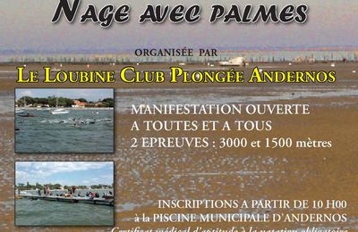 14ème TRAVERSEE d'ANDERNOS-les-BAINS - NAGE AVEC PALMES