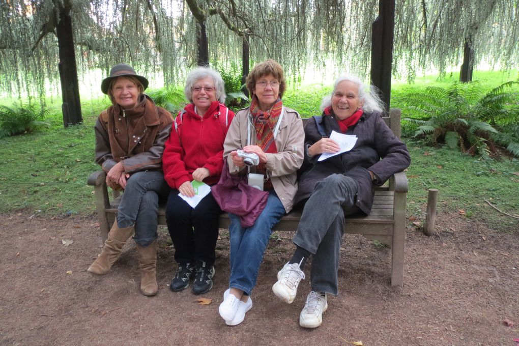 BALADE DANS LE DOMENE DE LA VALLEE -AUX-LOUPS de Chatenay Malabry