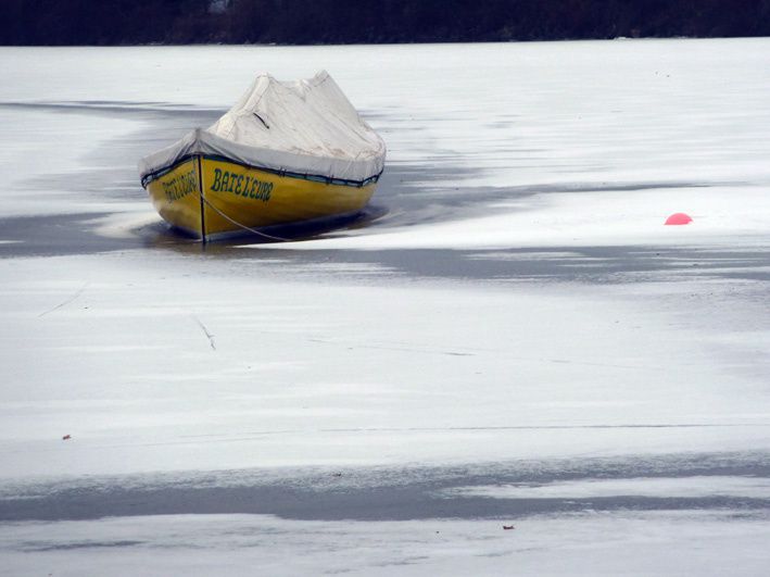 Quelques images glanées au hasard de mes randos normandes.