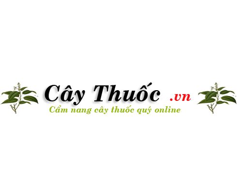 Thảo dược An Quốc Thái