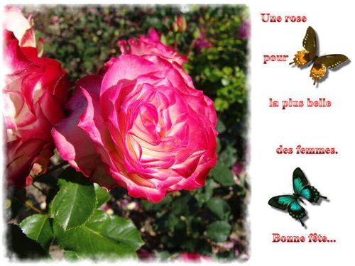 Anniversaire De Ma Fille Cadette Et Journee De La Femme Le Blog De Sourour