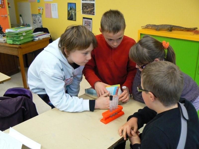 Partagez avec nous les moments forts de cette année scolaire !
(la chasse aux oeufs, la formation contre les incendies, notre rencontre inter-école, le téléthon)