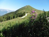 Au départ de Belle Plagne, une vue sur le Mont Saint-Jacques et un chalet d'alpage. La montée s'effectue dans un environnement encore brumeux.