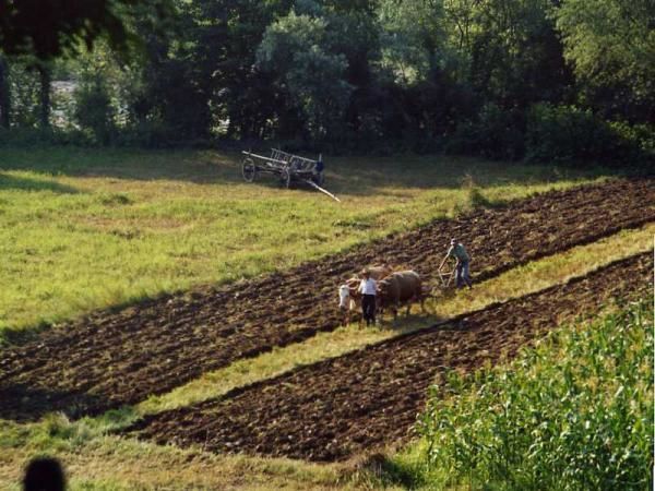 <p>Photos de mon voyage &agrave; v&eacute;lo en cyclo camping en Roumanie r&eacute;alis&eacute; l'&eacute;t&eacute; 2005 avec ma copine&nbsp;Laure.</p>
<p>&nbsp;</p>