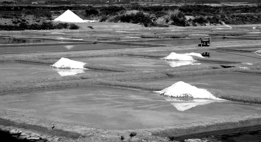 Album - Les Marais-salants de Guerande en noir et blanc