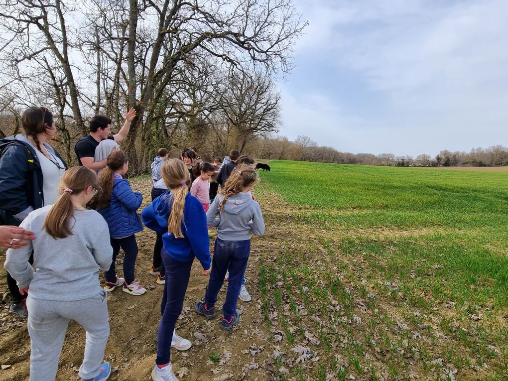 Les apprentis des vignes 