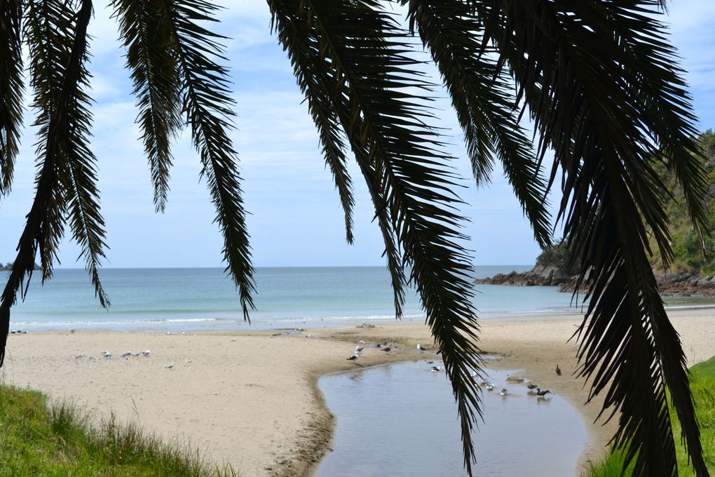 Album - Waiheke-island