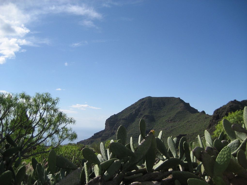 Balade à Tenerife 