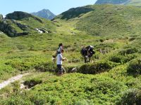 La vallée vers les Contamines. Un âne rétif sur le chemin qui longe le torrent vers les lacs.