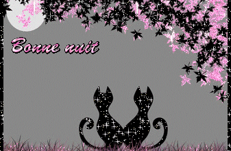 La nuit...