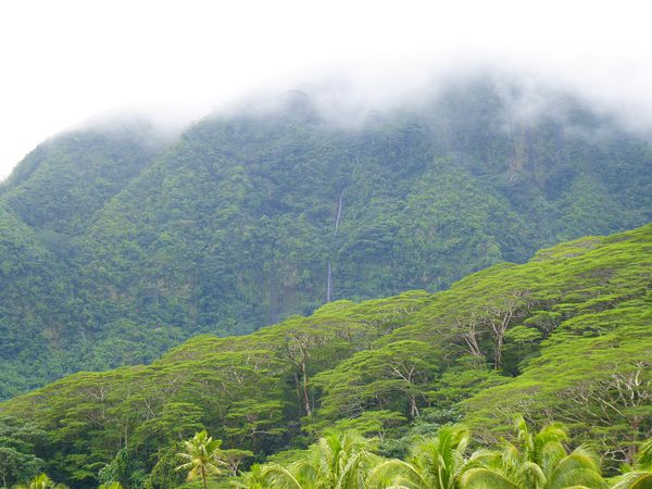 Raiatea et Taha'a