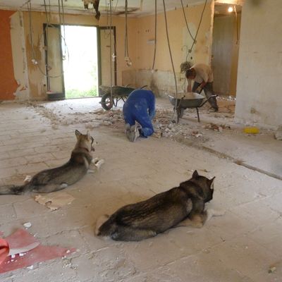 travail sous haute surveillance ou pas