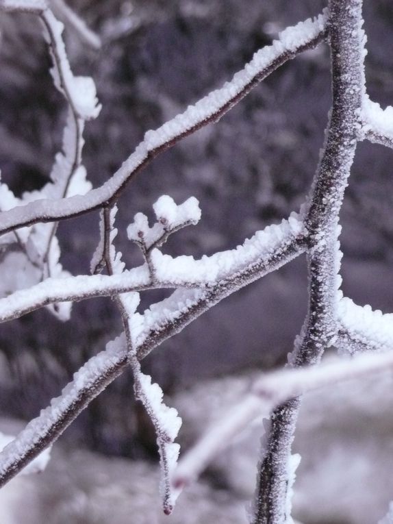 Album - Pyrenees-Janvier-2011