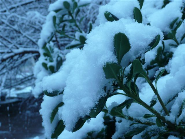 ANTIBES SOUS LA NEIGE