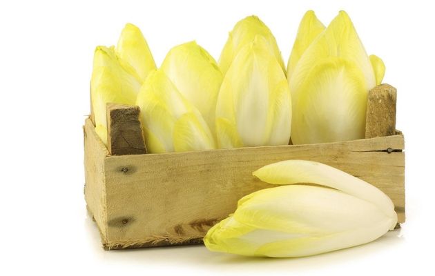 Les bonnes raisons d'inviter l'endive dans son assiette !