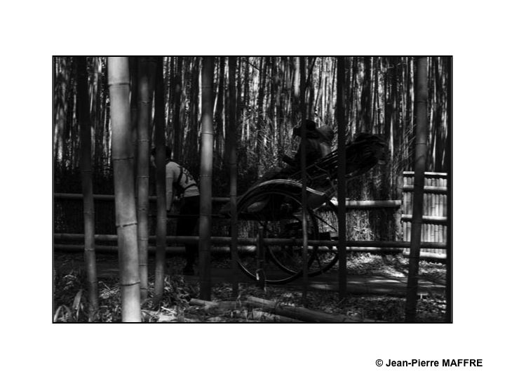 La bambouseraie d'Arashiyama est le nom usuel donné à la forêt de bambous géants de Sagano, située près du pont Togetsukyo au nord-ouest de Kyoto.