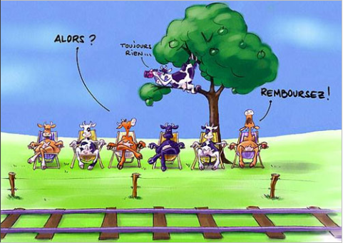 HYPERLOOP : QUI PENSE AUX VACHES ?