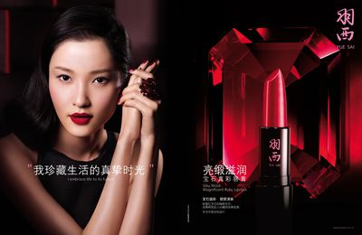 Yue Sai beauty Campagne2009