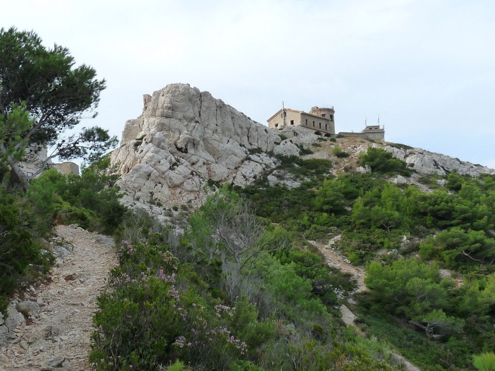 Album - (01)Marseille -veyre par plateau de l'Homme mort