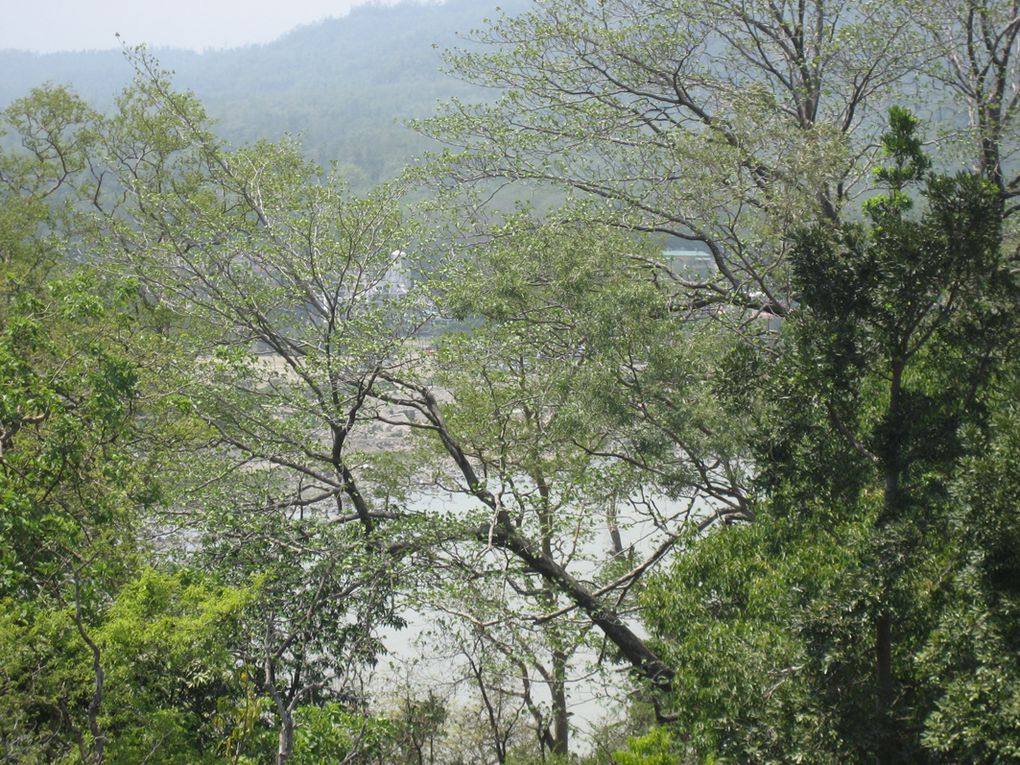 Album - Inde, Rishikesh