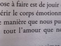 Extrait du livre "LA MAÎTRISE DE L'AMOUR" de don Miguel Ruiz 