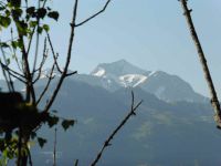 Au départ, un raidillon coupe un lacet. Zoom sur le Mont Pourri. En sous-bois.